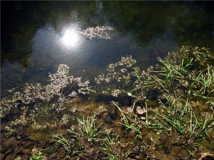 Субботний вояж. Заключительная часть