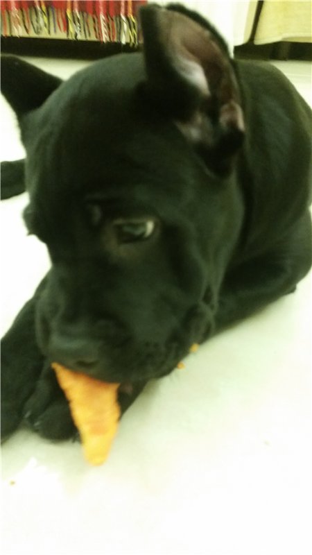 Мое сокровище. Самые любимые дети | Бэйбики Мое сокровище. Самые любимые дети