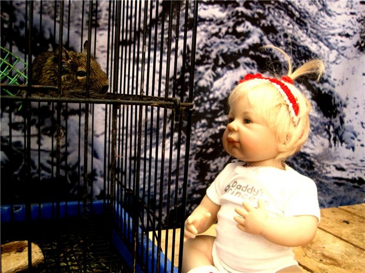 Лето. Солнце. Море. Всё смешалось - звери, куклы. Часть2 | Бэйбики Лето. Солнце. Море. Всё смешалось - звери, куклы. Часть2 (фото 7)