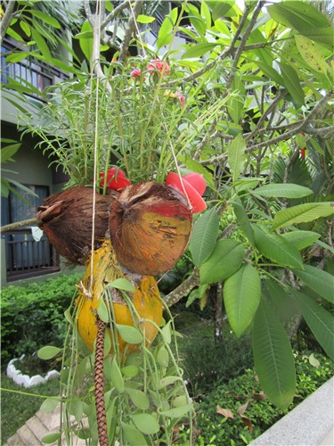 Тайланд Вам рад - на чудеса богат (фото 6)