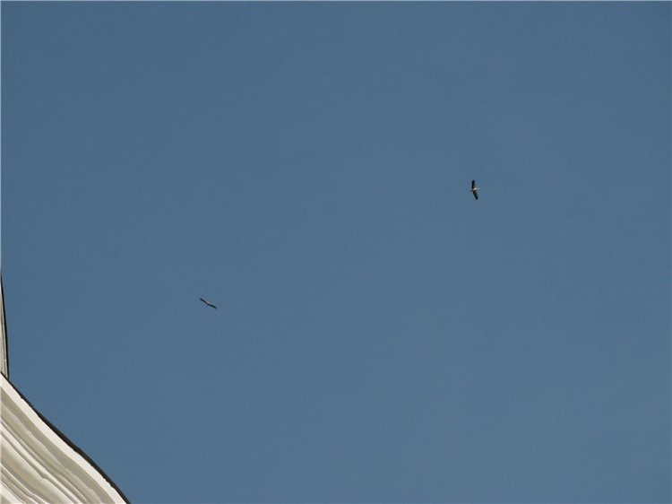 Весенняя прогулка в Старице