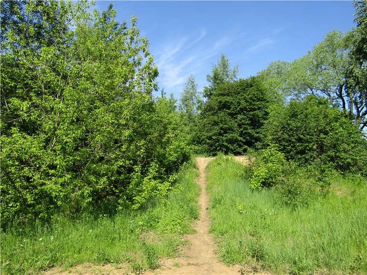 Непоседа Бетси Robert Tonner. Летний день в парке