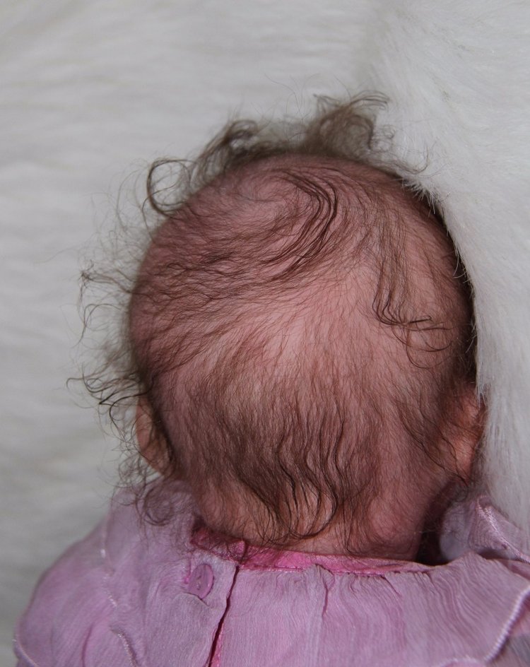 Моя любимая девочка Americus (фото 10)