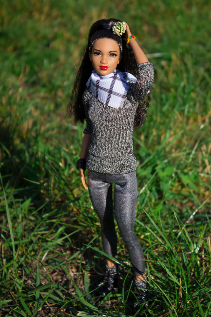 Мои Барбеечки Made to Move и гибриды