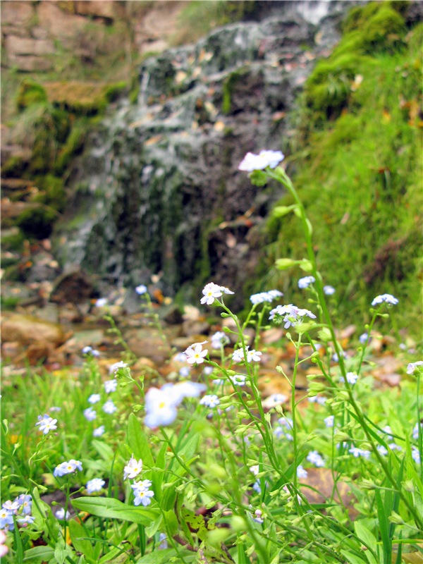 Тверской Водопад — Туризм и путешествия: фотоотчеты из поездок