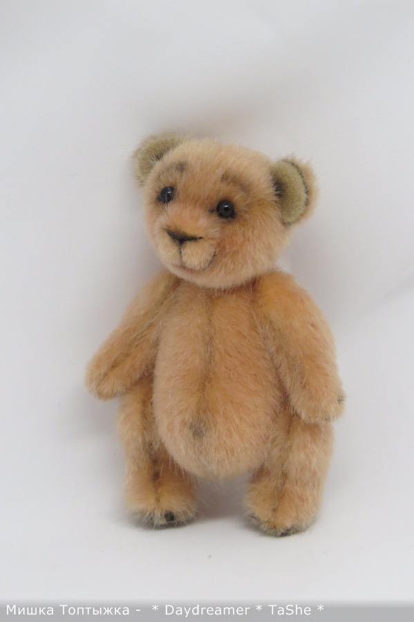 Позитивный мишка по имени Топтыжка (фото 5)