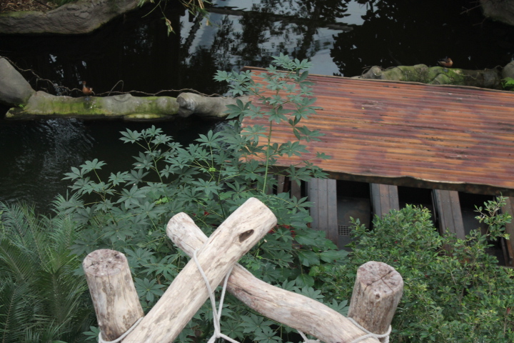 По Германии: зоопарк Лейпцига, часть 2