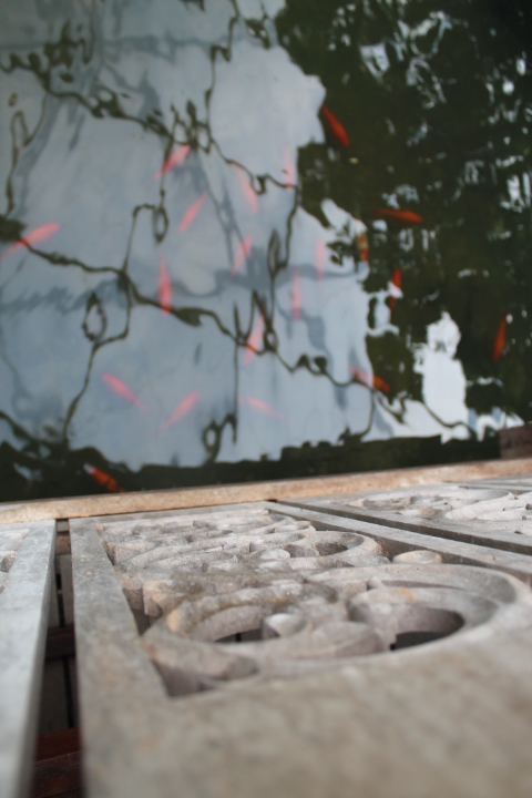 По Германии: зоопарк Лейпцига, часть 2 (фото 10)