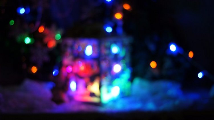 Праздничный фонарь — Другие хобби и увлечения: сад