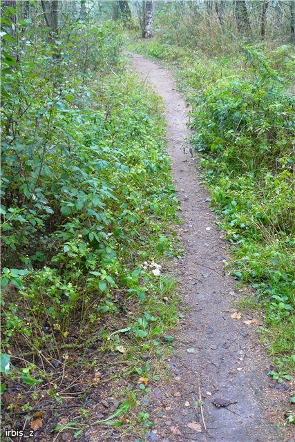 Осенняя сказка. Часть 1. (PukiFee Ante Ариэтти, PukiFee Bonnie Ариэль) | Бэйбики Осенняя сказка. Часть 1. (PukiFee Ante Ариэтти, PukiFee Bonnie Ариэль) (фото 8)