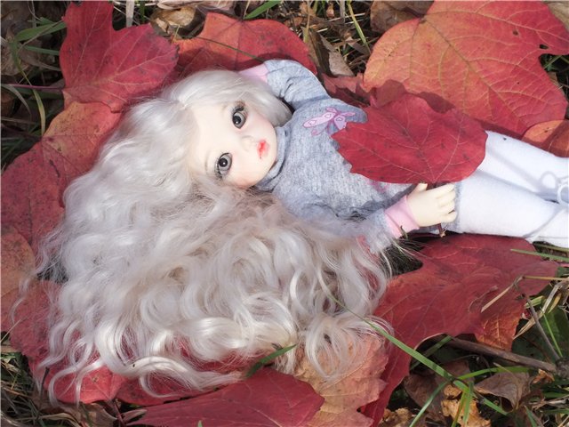 Краски осени... Кукла БЖД Оливка в парке | Бэйбики Краски осени... Кукла БЖД Оливка в парке (фото 3)