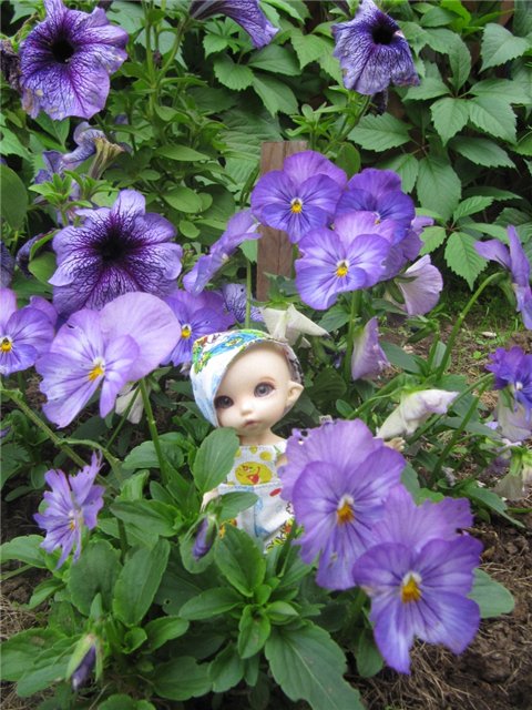 Воспоминания о лете. Куклы БЖД | Бэйбики Воспоминания о лете. Куклы БЖД