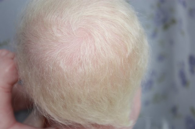 Реборн из Беренджер, нежность в пелёнках