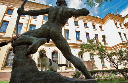 «Мяу» особого назначения или Весенняя кошкотерапия (фото 9)