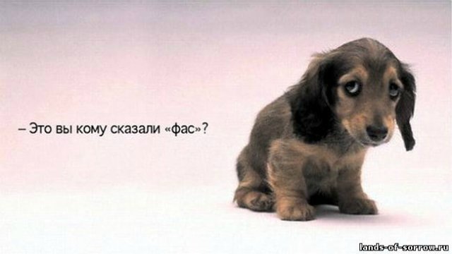 Понедельник - день тяжёлый | Бэйбики Понедельник - день тяжёлый