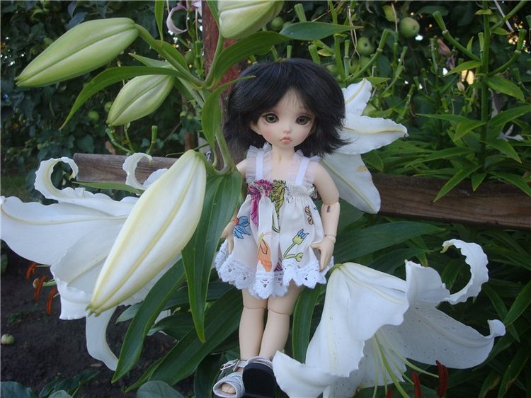 Наши малышки (худжио и Литлфи Луна) (фото 4)