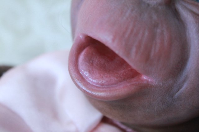 Манюня - обезьянка реборн Элины Кудрявцевой (фото 4)