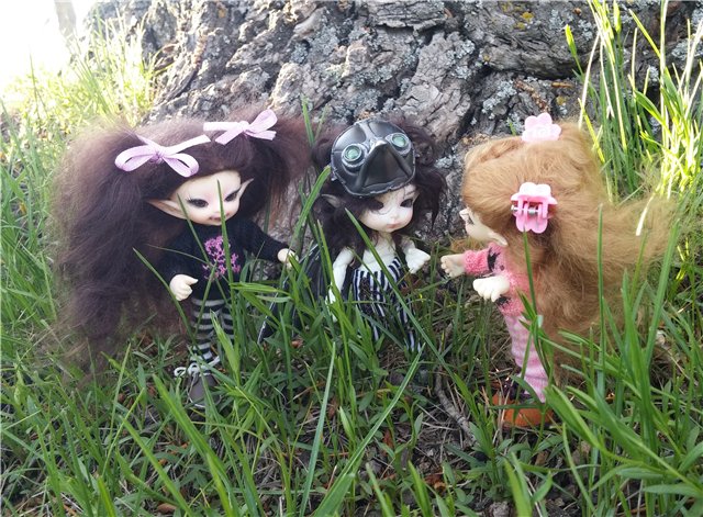 Поездка за подснежниками. Или просто Корппи | Бэйбики Поездка за подснежниками. Или просто Корппи