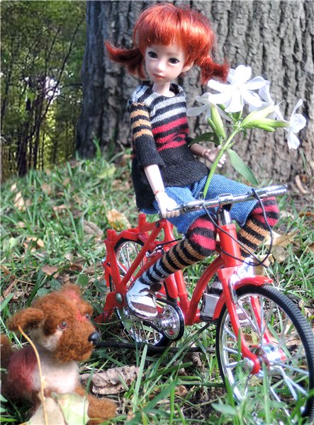 Велик, Мурзик и цветы — Куклы и тела Obitsu (Обитсу): 1/6 (фото 2)