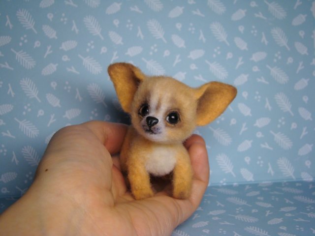 Чихуахуа. Авторская игрушка валянием Ольги Чернухо (фото 5)