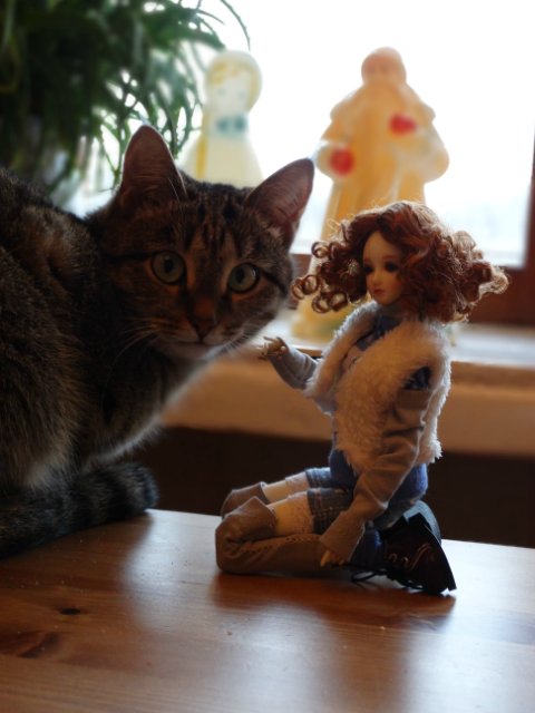 Souldoll Little Metel на прогулке (фото 6)