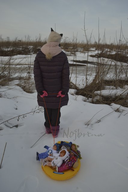 Двое в санках, не считая кота...Вихтели Rosemarie Anna Muller