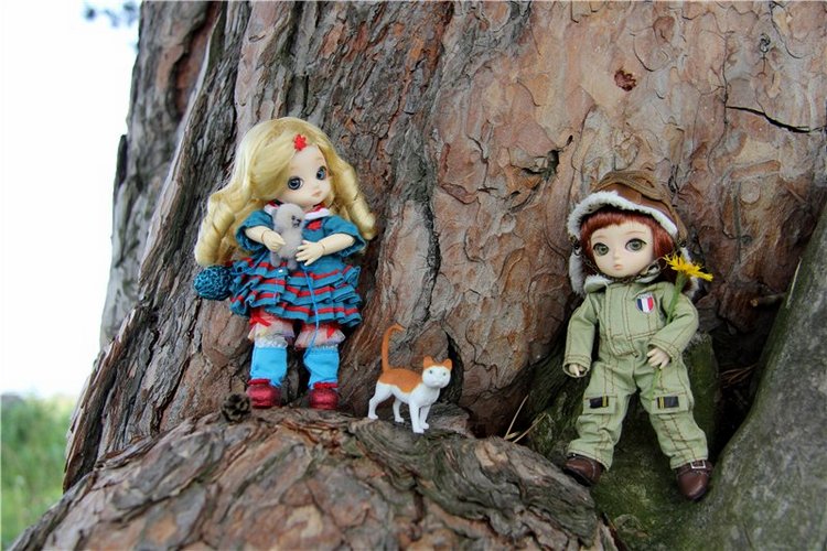 Иваниши. Храм Успения Пресвятой Богородицы (фото 2)