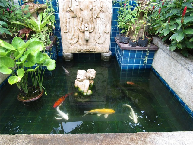 Тайланд Вам рад - на чудеса богат