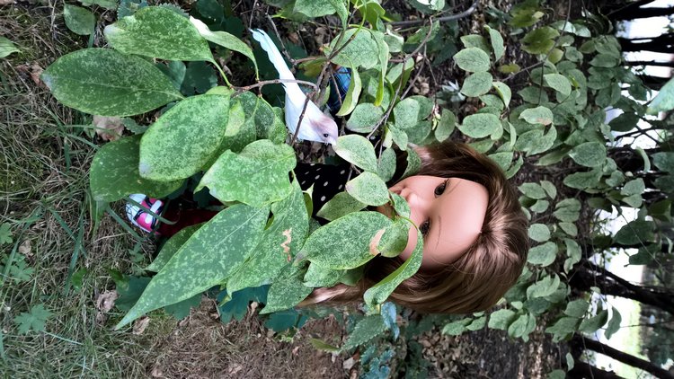 Ты и я такие разные, или, Если друг оказался вдруг (фото 7)