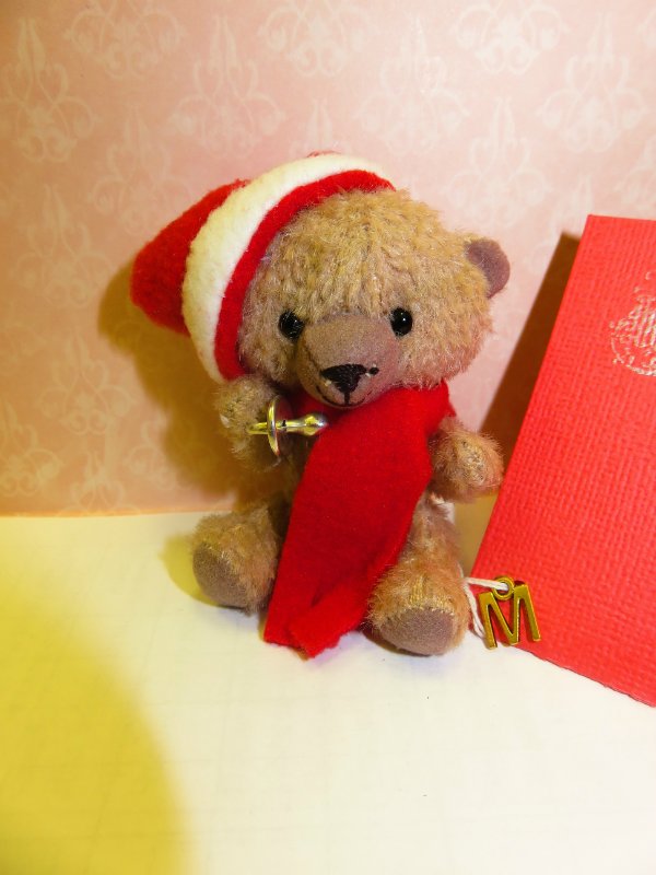 Одиннадцатая международная выставка "ТеддиМир" (фото 6)