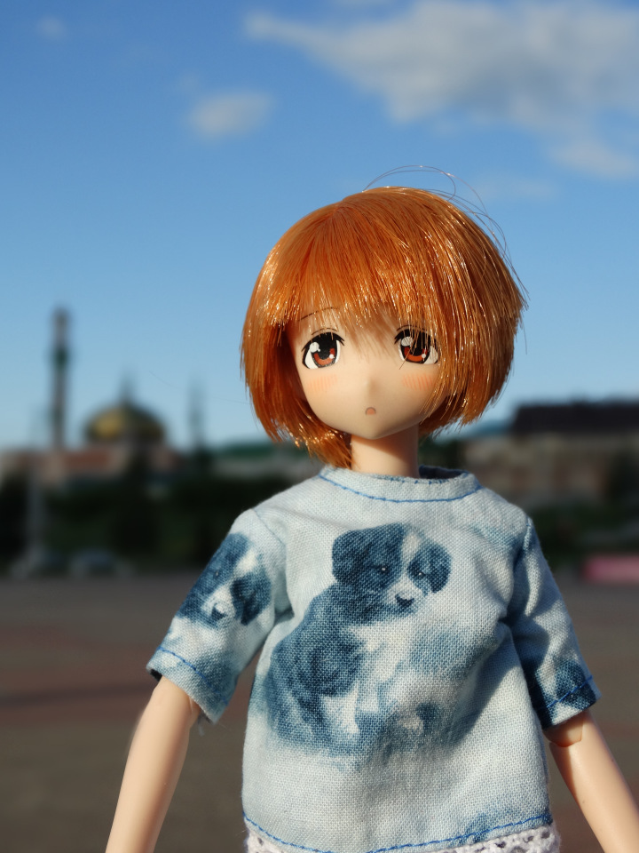 Путешествие с Азоночками Azone doll