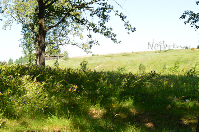 Туристы. Коллекционная кукла Линда и Среда