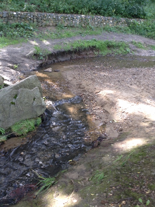 "Есть на Москве места такие..." ч.2. Тайны Коломенского оврага