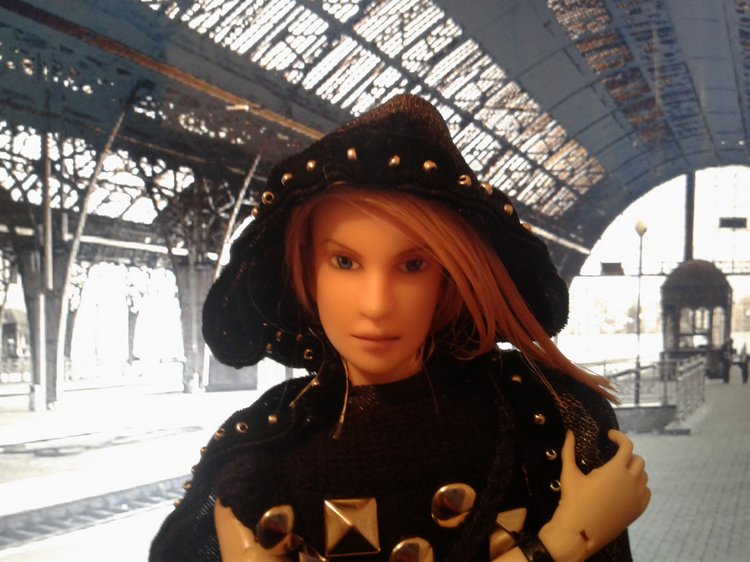 Зимнее солнце. Глава 1. Сказочный поезд