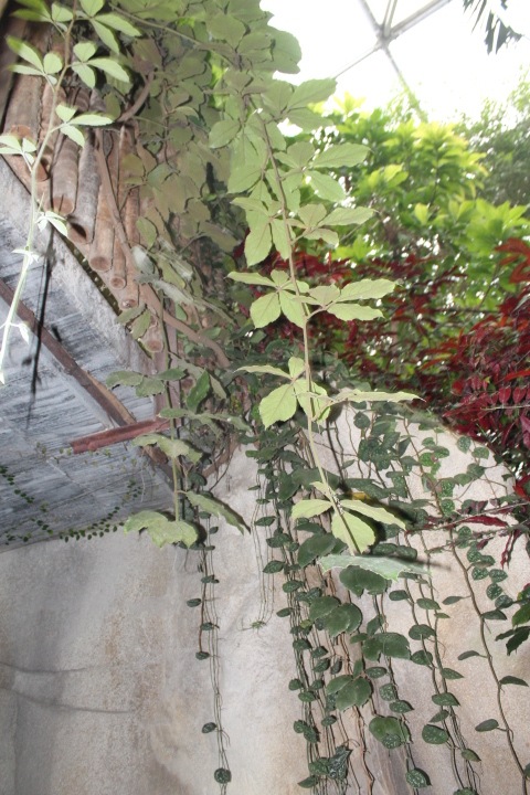 По Германии: зоопарк Лейпцига, часть 2