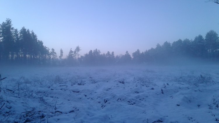 Зимнее солнце. Глава 27. Досуг
