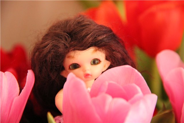 Ну и у нас 8 марта — Куклы Fairyland (ФэйриЛэнд): BJD (БЖД) (фото 2)