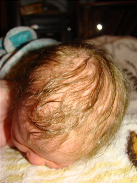 Филипок. Мой переделанный малыш беренжер