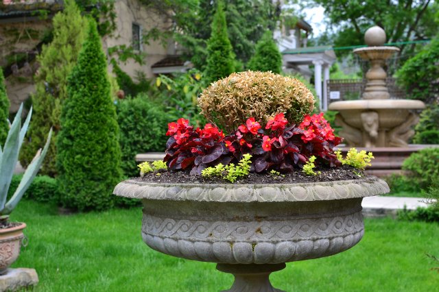 Старый парк — Туризм и путешествия: фотоотчеты из поездок (фото 4)