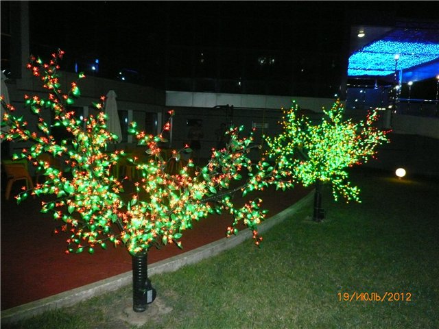 Сосенка Пин. Отпуск — Разные куклы BJD (БЖД): редкие бренды