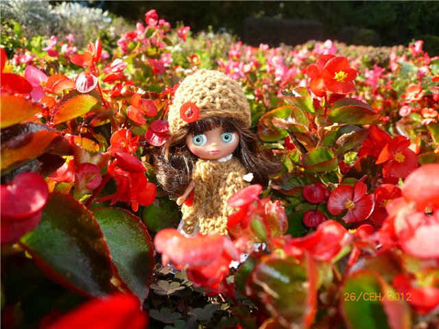 Мои Блайзочки — Оригинальные куклы Blythe (Блайз): Takara