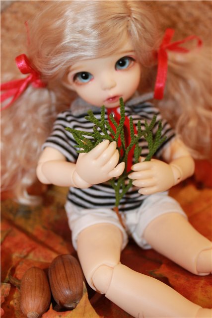 Осень у нас дома | Бэйбики Осень у нас дома — Куклы Fairyland (ФэйриЛэнд): BJD (БЖД) (фото 4)