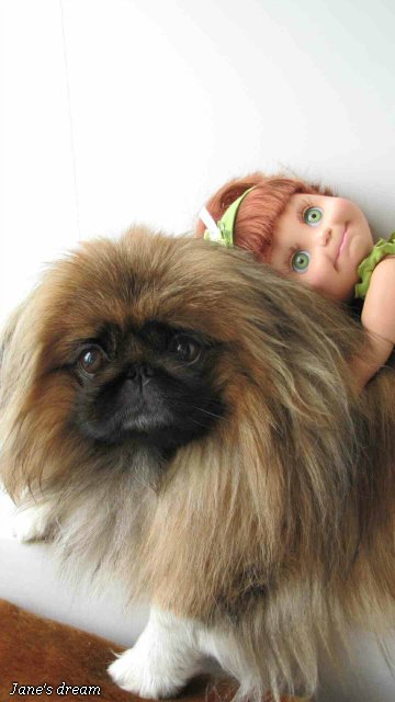 Прекрасные Феи Цветов. Galoob - Baby Face, часть 1