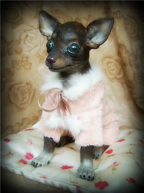 Подружка--той-терьер. ООАК Светланы Гришко