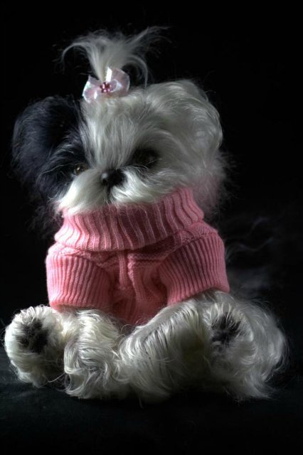 Маленький Ши-цу из молда "Принцесса"(мопс).Работа американского мастера