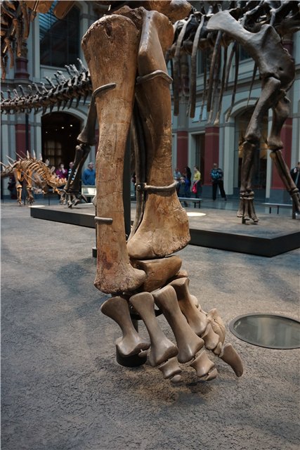 Взятие Берлина. Часть 3. Аква-дом, Улыбка бегемота и Прототип куколок Шильдкрот (фото 8)