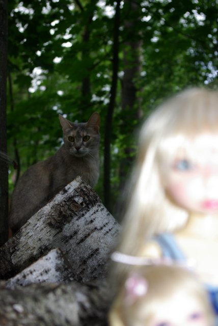 Долгожданная и такая желанная Adeline by Kim Lasher