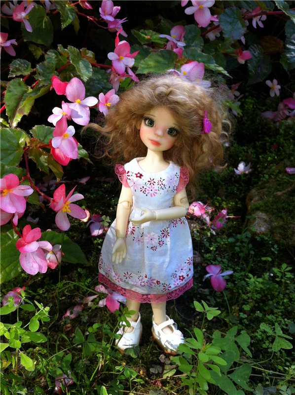 Большое путешествие маленькой девочки. Kaye Wiggs, Nutmeg