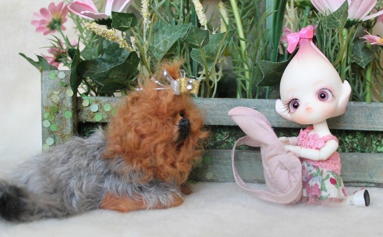 Последний Цветочек-Do, в моей Доллзоновской клумбе (фото 6)