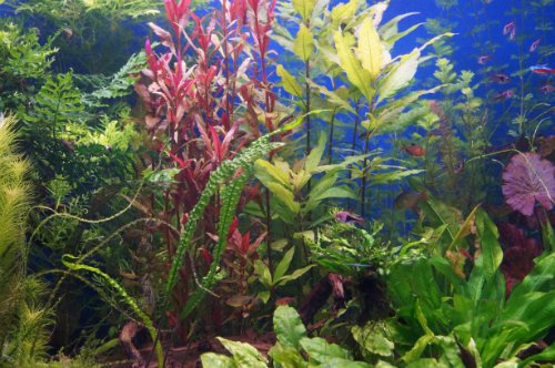 Воронежский океанариум — Туризм и путешествия: фотоотчеты из поездок